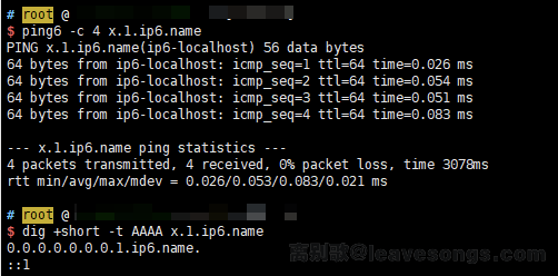 ping x.1.ip6.name